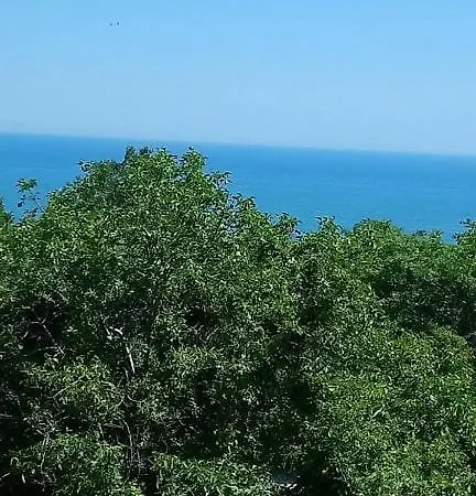 Guesthouse Elly Aparthotel Balchik